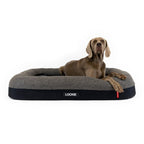 PetNova™ CalmNest – Anti-Anxiety Dog Bed
